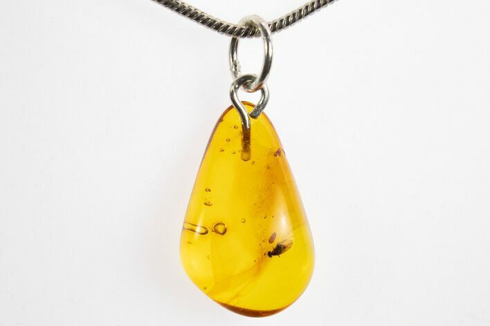 Polished Baltic Amber Pendant (Necklace) - Contains Fly! #328450